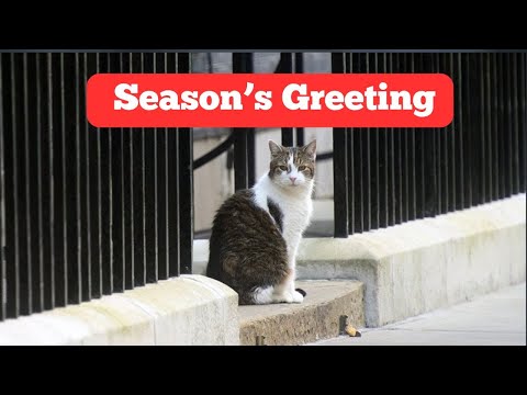 Larry, The Downing Street Cat - Season's Greeting