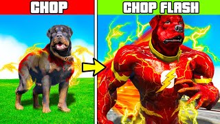 EVOLUINDO O CHOP para o FLASH-CHOP DE NÍVEL MÁXIMO no GTA 5!!!! EVOLUINDO O CHOP para o FLASH-CHOP DE NÍVEL MÁXIMO no GTA 5!!!!