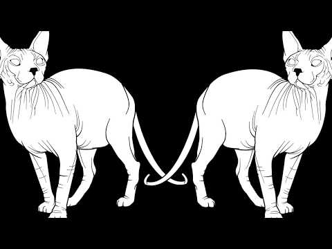 Underspreche - From The Exotism To The Future