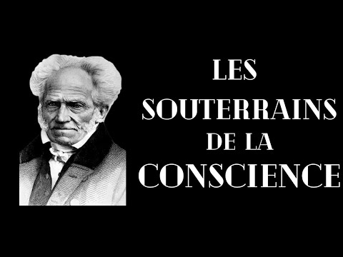 SCHOPENHAUER - What is desire?