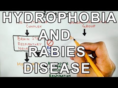 Why does Rabies cause HYDROPHOBIA ? Mechanism ...