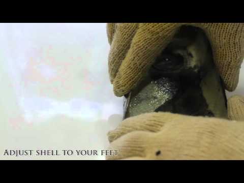 USD Carbon Heat Molding, 27. septembris, 2010