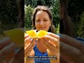 Orange Valencialate video