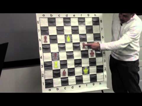 Chess for Beginners with GM Yasser Seirawan (Puzzles and Planning!) - 2013.04.21