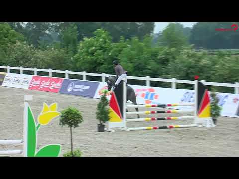 Condoctro siegt in Springpferdeprüfung Kl. A*