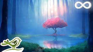 Deep Relaxing Music - Meditation Music, Sleep Music, Ambient Music