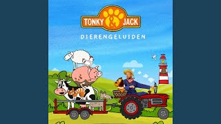 Dierengeluiden song artwork