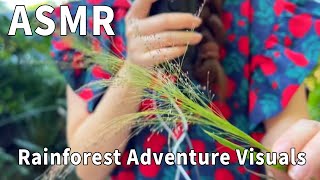 Come to the rainforest for adventure in winter, with random wood trigger sounds!