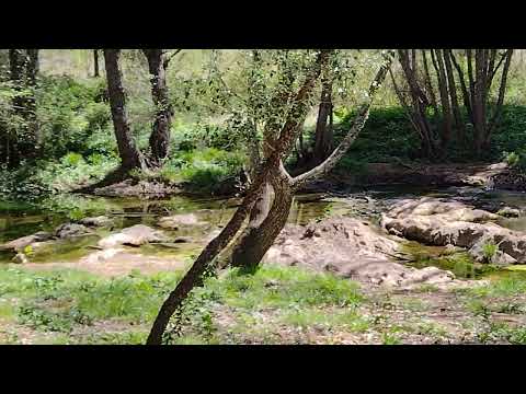Cazalla-Molino Corcho, área recreativa. Merendola