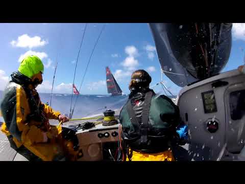 Overall Line Honours, Paradox, Caribbean 600