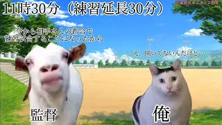 卒論の提出期限が後2週間に迫った一般大学生のとある1日（土日編）#猫ミーム　#猫meme #猫マニア
