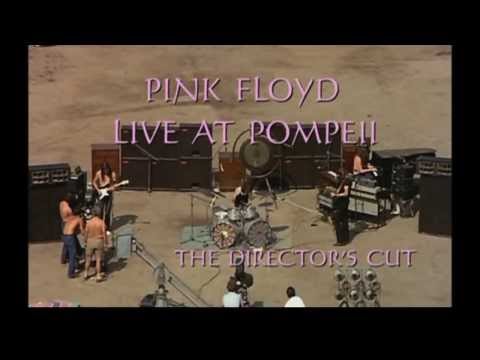 Pink Floyd seagull effect cover