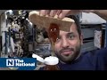 UAE Astronaut Sultan Al Neyadi Shows What Happens To Honey In Space