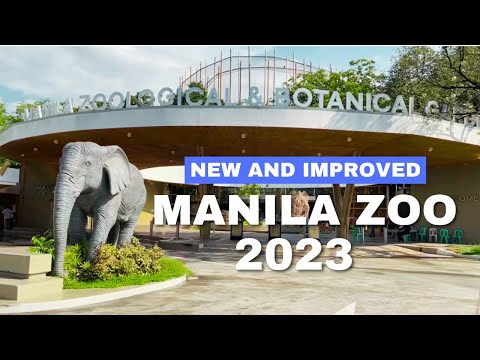 The New MANILA ZOO | Walking Tour 2023 | HD | Manila Philippines