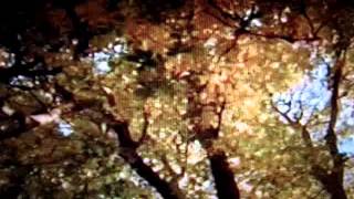 Of The Wand And The Moon - In a Robe of Fire