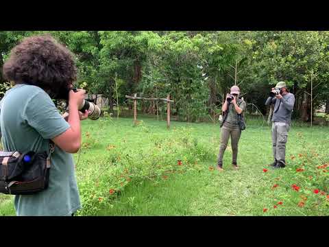 Jardim dos BEIJA  FLORES- Venha nos conhecer