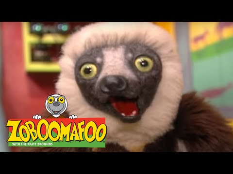 Zoboomafoo 202 - Hot and Cold (Full Episode)