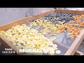How Grannies Make Fresh Pasta In The Streets Of Bari Italy Regional Eats Insider Food