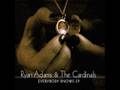 Ryan adams , if i am a stranger (Acoustic) - SteveWhatAustin Ryan adams , if i am a stranger (Acoustic)
