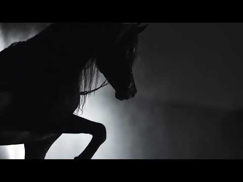 AL GHANAYIM STUD - Dance with Darkness