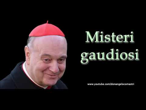 Mons  Angelo Comastri – Misteri gaudiosi del Santo Rosario