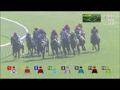 16/1/2022 (342) Cordyceps Two - V Borges