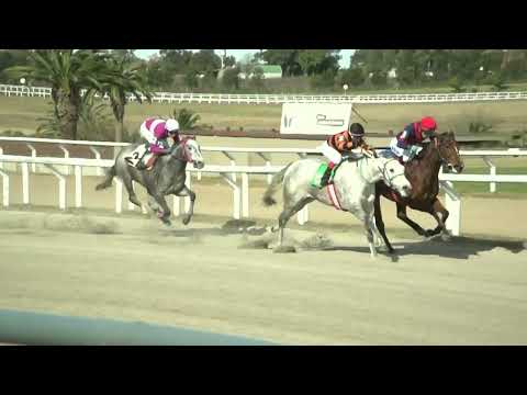 220708 c03 -  AMERICAN FOG - HIPODROMO LAS PIEDRAS