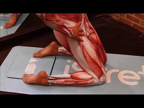 Tibialis Anterior, LOWER LEG Stretch for Beginners kneeling – iStretch
