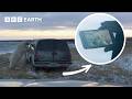 Terrifying Encounter With Arctic Polar Bear Operation Arctic BBC Earth Explore