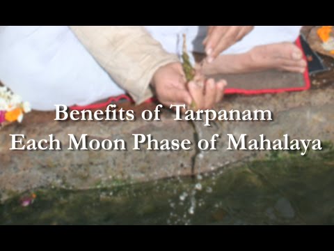 Benefits of Specific Moon Phase Tarpanams During Mahalaya