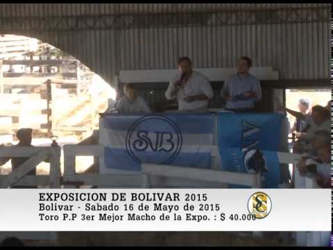 16-05-15 Venta de Toros P.P. - Expo-Otoño Bolivar