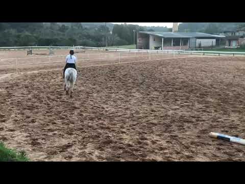 Treino gallope 2 - 22/08/17