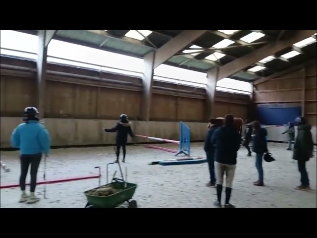 Pouliche de 3 ans, mod&egrave;le s&eacute;rieux, lign&eacute;e 5*