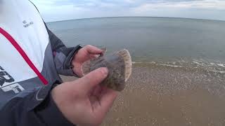 Осень рыбалка на море с берега в одессе
