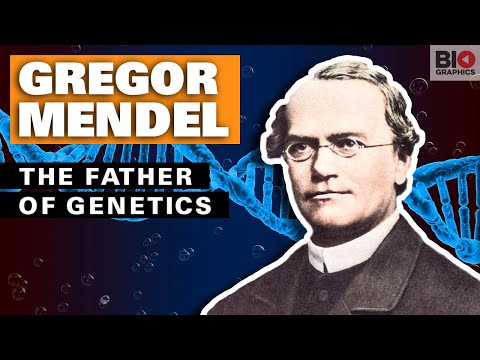 Gregor Mendel: The Father of Genetics