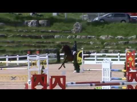 Cosmic Girl 9j Stute v. Absalon x Caletto S **