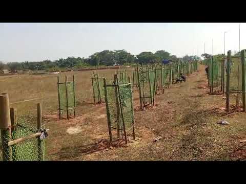 Tubex Tree Guard Mesh