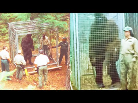 'THEY CAGED BIGFOOT' - Rangers' Terrifying BIGFOOT ENCOUNTER STORY