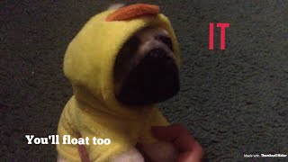 IT Georgie Scene but its pug version.