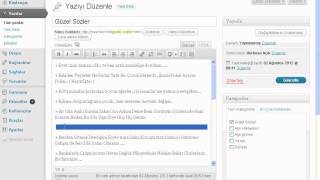 WordPress - Devamını Oku Çıkarma - zeki izle lan