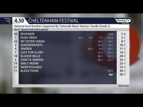 Eglantine Du Seuil Mares Novice Hurdle Cheltenham 2019