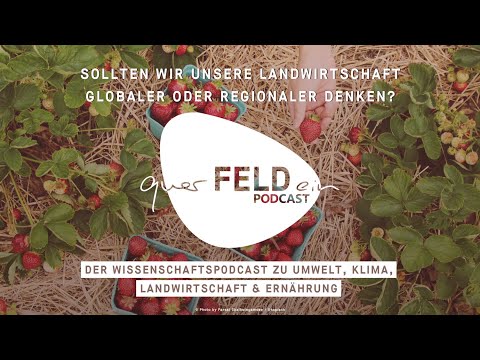 querFELDein Podcast #22 — Sollten wir unsere Landwirtschaft globaler oder regionaler denken? Teil 1