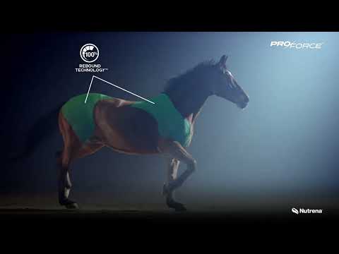 0667 NUT PF 25 FullLine v3 YT 1920x1080v1