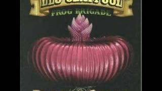 Les Claypool Frog Brigade - Barrington Hall