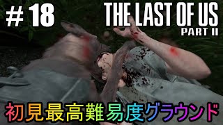 #18【The Last of Us Part II】初見最高難易度グラウンドで美少女たちが暴れん坊将軍