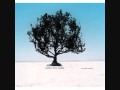 Shaken - The Shiny Toy Guns [Lyrics]