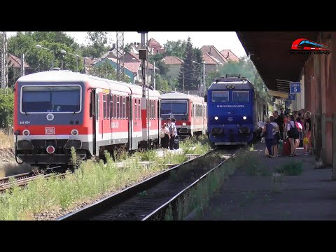 Trenurile Amiezii in Gara Oradea / Lipsa de Linii & Trafic Aglomerat - 11 August 2025