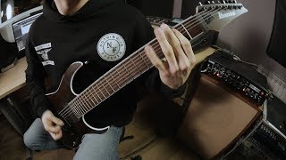 Stick To Your Guns - Doomed By You(Guitar Cover)[HD]
