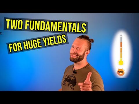 Let’s Talk Air Temperature and Humidity in Your Grow Room