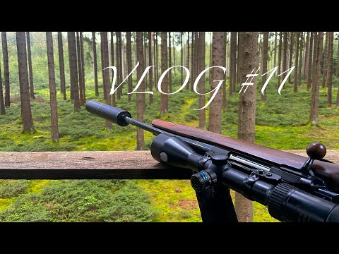 VLOG #11 Jagen im Mai - Bockjagd - Bayern - Mosel #waidmannsheil #hunting